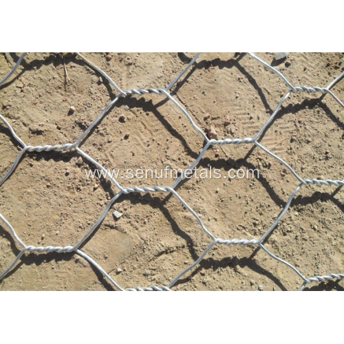 electrical galvanized wire mesh